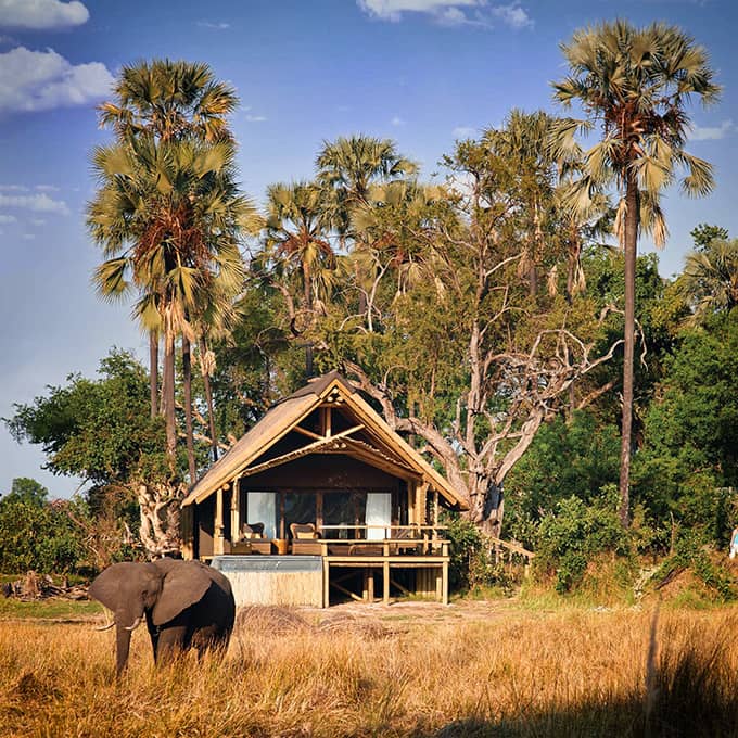 okavango delta luxury safari lodge