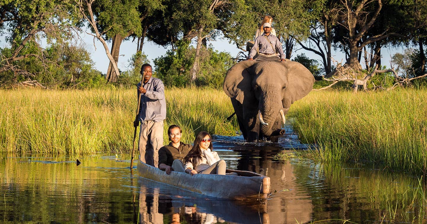 african safari in botswana